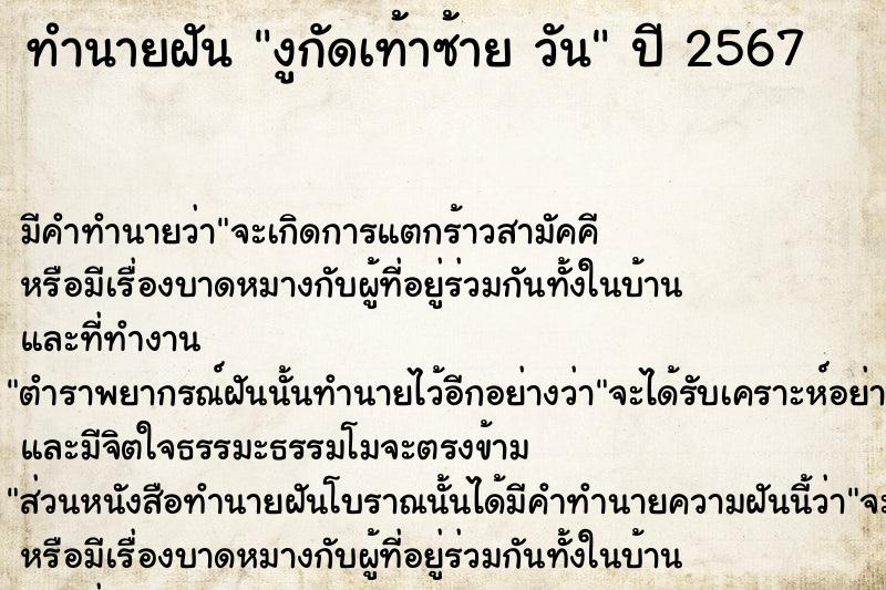ทำนายฝันงูกัดเท้าซ้ายวัน ทำนายฝันทำนายฝันงูกัดเท้าซ้ายวัน